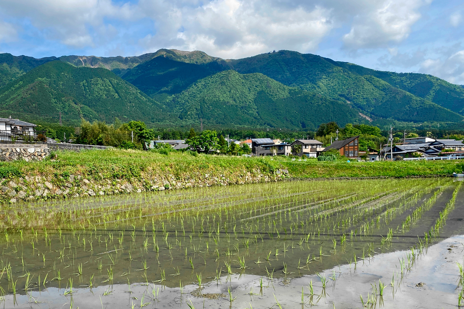 SDGs田園